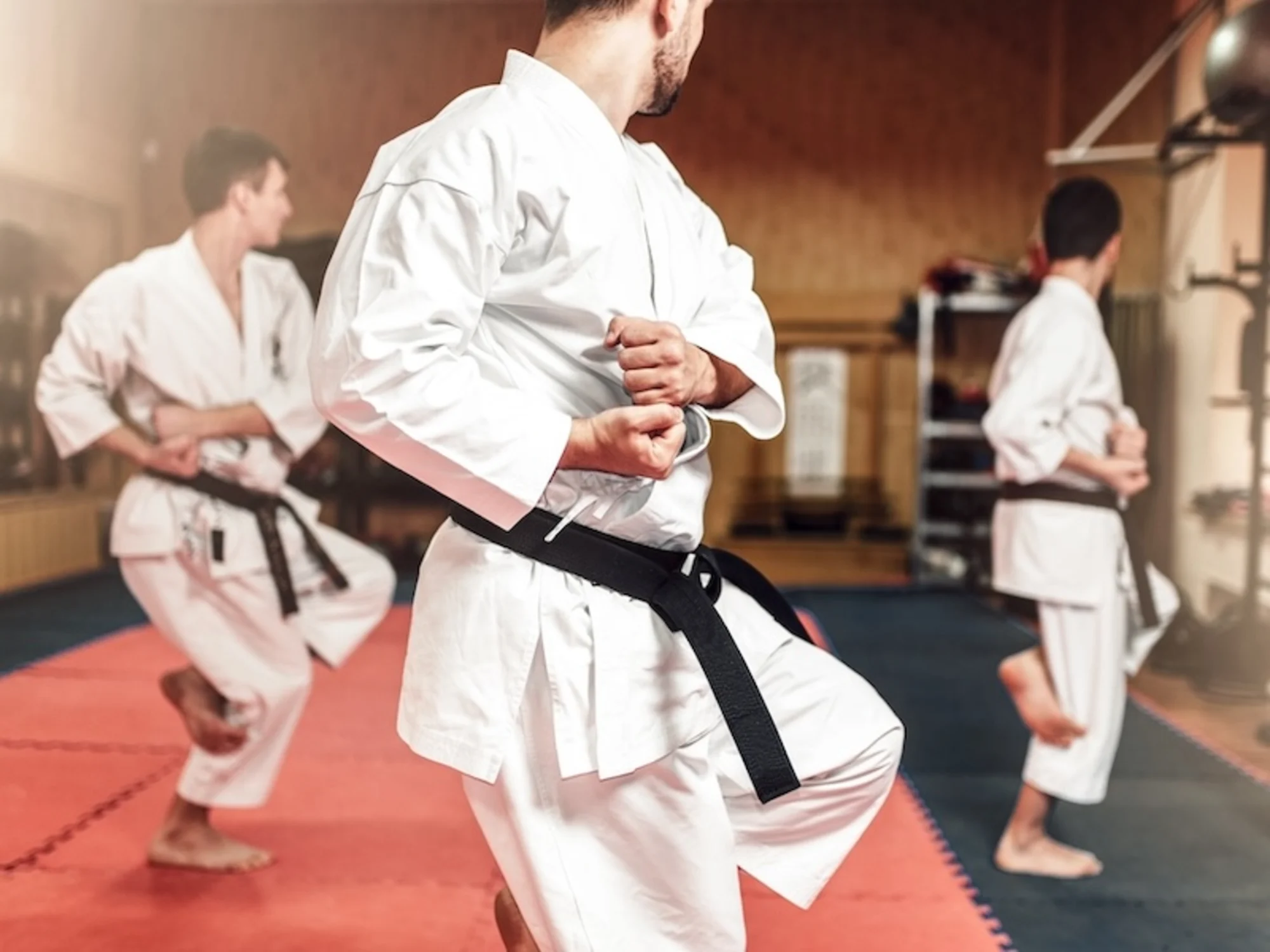 Adult Martial Arts